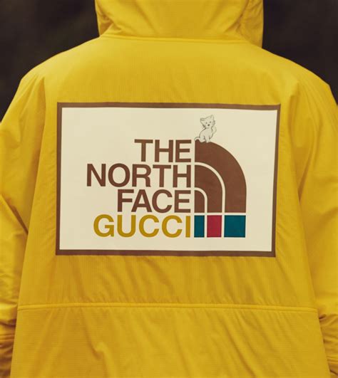 the north face x gucci bomber|gucci x north face tracksuit.